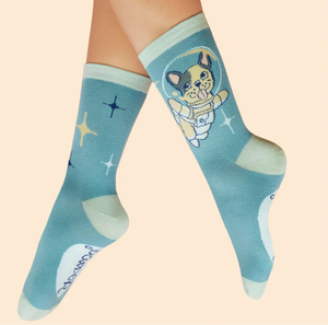 Frenchie in space socks- ice