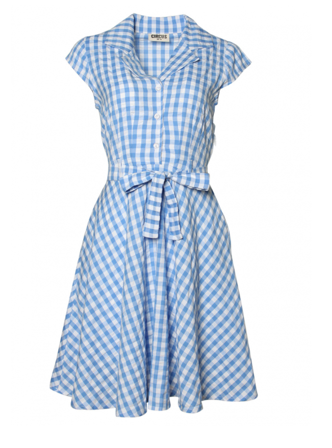 Ava Woven Blue Check Cotton Dress